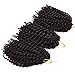 Silike 8'' Marlybob Kinky Curl (3 Bundles/pack) Water Wave Crochet Braiding Hair(#4)