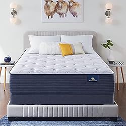 Serta - 14" Clarks Hill Elite Plush Queen