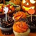 Jetec 100 Pieces Halloween Food Picks Cupcake Toppers Decorations Halloween Party Picks Food Picks Holiday Appetizer Picks with Pumpkin Ghost Spider Bat Design