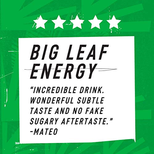 Organic Clean Energy Drink by RUNA, Watermelon Focus Refreshing Tea