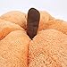 PAWZ Road Halloween Cozy Cat Bed, Puppy Hut Kitty Cave Pumpkin-Shaped Kennel, Non-Slip and Durable for Cats and Small Dogs