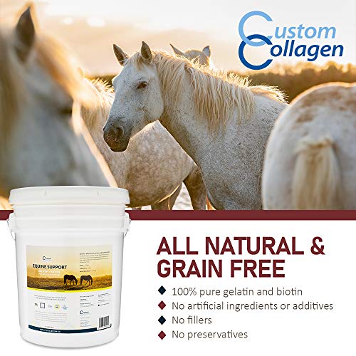 Custom Collagen Equine Joint Support Gelatin Plus Biotin Supplement for