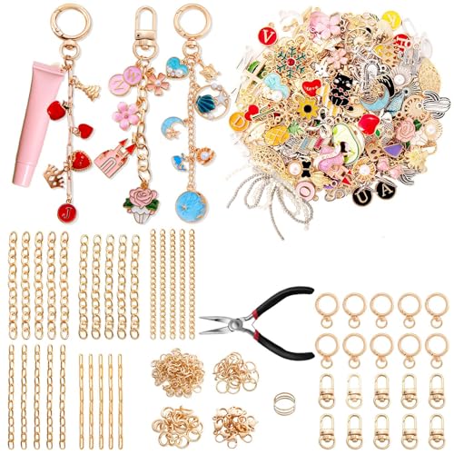 325Pcs Keychain Making Kit, Including 20 Keychain Clips 25 Extender Chain 118 Charms Jewelry Plier, Bag Charm Kit, Keychains Making Supplies for DIY Crafting