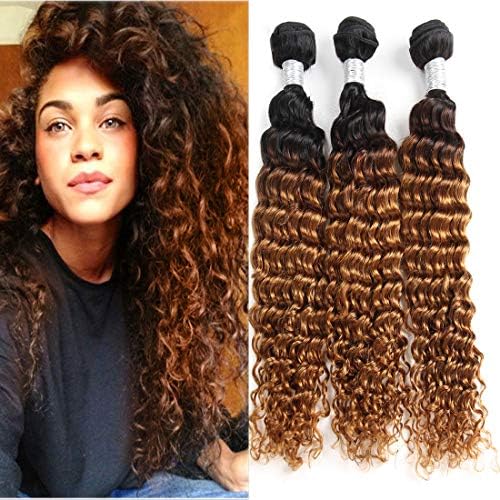 Fengde Hair 8A Ombre Brazilian Deep Wave Virgin Hair 3 Bundles 100% Unprocessed Human Hair Extensions(202224,1B/30)