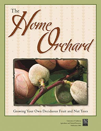 The Home Orchard Growing Your Own Deciduous Fruit And Nut Trees By Ingels Chuck A Amazon Ae