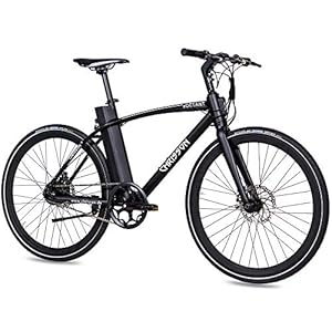 CHRISSON EOCTANT E-bike, 28 inch, met voorbouwdisplay, zwart, elektrische fiets met Aikema achterwielmotor 250 W, 36 V…