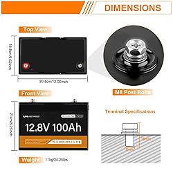 VESTWOODS Smart 12V 100Ah LiFePO4 Lithium