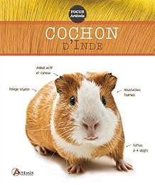 Le  cochon d'Inde