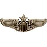 EagleEmblems P15442 Wing-USAF,Pilot,Senior (Mini) (1.25'')