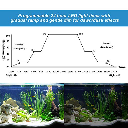 MingDak Digital Aquarium Ramp Timer - Programmable 24-Hour Dimmer and LED Light Timer for Aquarium,Dimmable Fish Tank Light,Plant Light,Marine Light,Coral Reef Light with 2.1mm/2.5mm DC Connections