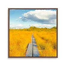 signwin Framed Canvas Wall Art Charming Scenery Canvas Prints Home Artwork Decoration for Living Room,Bedroom - 24x24 inches