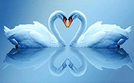 Amazon Co Jp 大人のための刻印されたクロスステッチキット初心者ハート型白鳥11ct印刷済み用品フルレンジdiyニードルポイント手工芸品子供の家の装飾16xインチ ホーム キッチン