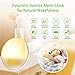 Wake Up Light Alarm Clock, Burbupps Kids Night Light Compatible with Alexa & Google Home, 7 Colored Sunrise Simulation and Sunset Fading, Dual Alarm Clock with FM Radio, USB Charge Port (Style-2)