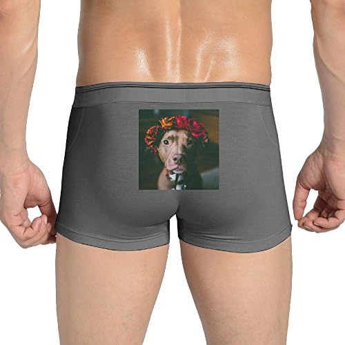 Laur2 Pit Bull Rose Men's Brief Boys Boxer Briefs Low-Waisted Underpants Cotton Underwear Back Printed Knickers