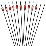 Huvai 30 Inch Carbon Removable Hunting Arrows Shaft With Field Points Replaceable Tips (12 Pack)