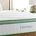 LINENSPA 10 Inch Latex Hybrid Mattress - Supportive - Responsive Feel - Medium Firm - Temperature Neutral - Full
