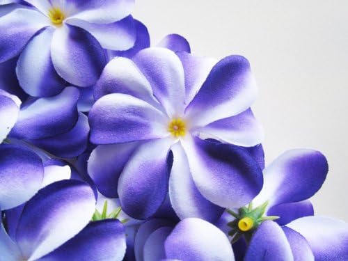 (12) Purple White Hawaiian Plumeria Frangipani Silk Flower Heads - 3" - Artificial Flowers Head Fabric Floral Supplies Wholesale Lot for Wedding Flowers Accessories Make Bridal Hair Clips Headbands Dress