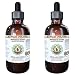 Butcher's Broom Alcohol-FREE Liquid Extract, Organic Butcher's Broom (Ruscus aculeatus) Dried Root Glycerite 2x2 oz
