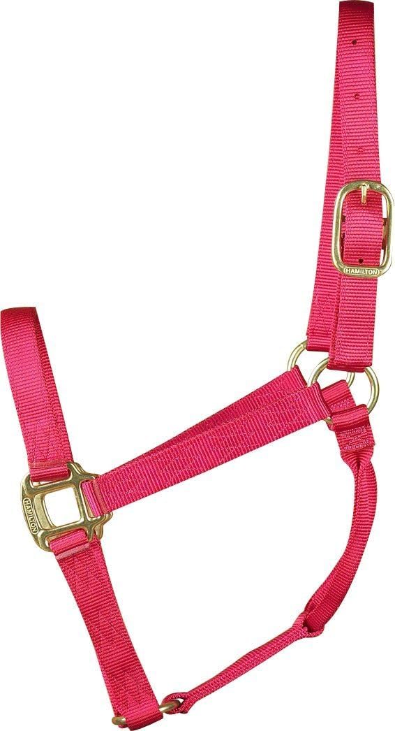 Hamilton 1 Nylon Quality Horse Halter, Average Size (800-1100 lbs), Raspberry