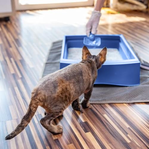 Teo Premium Pet Supplies Cat Litter 100% Natural Bentonite, Clumping 99.5% Dust Free, Forever Fresh, Pet-Friendly, Fighting with Odors Baby Powder Scented (20 L)