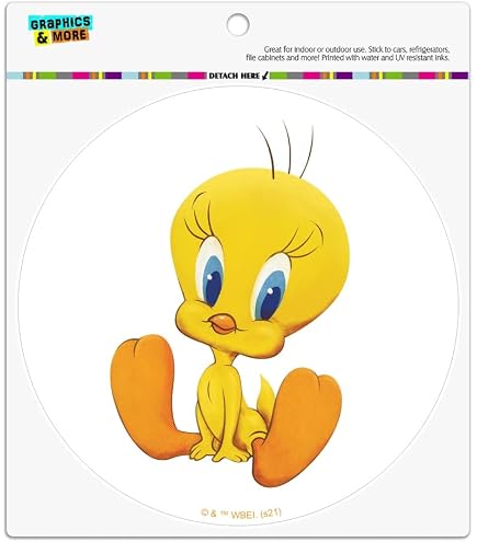 Amazon.com: Ata-Boy Looney Tunes Magnet Tweety Tres Chick 2.5
