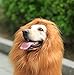 Looching Lion Mane Dog Costume Wig, Brown