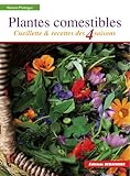 Plantes comestibles : Cueillette & recettes des 4 saisons by