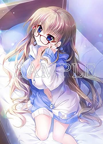 Amazon ぱれっと 9 Nine オフィシャル通販特典b2wスエードタペストリー 和泉つばす アニメ 萌えグッズ 通販