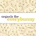 Annie's Organic Saltine Classic, Baked Crackers, 6.5 oz., Pack of 6