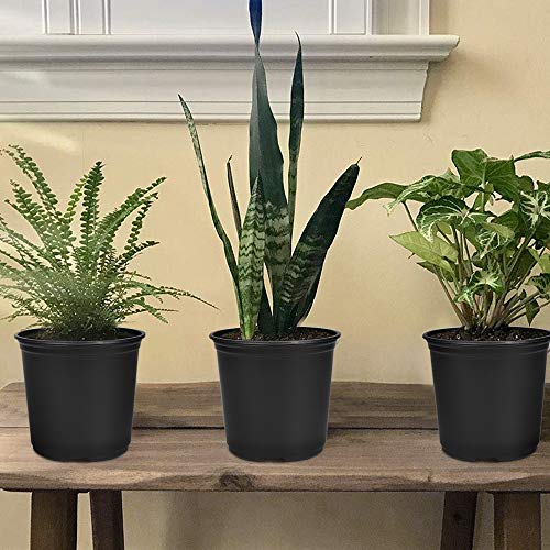 GROWNEER 48 Packs 0.7 Gallon Flexible Nursery Pot Flower Pots with 15