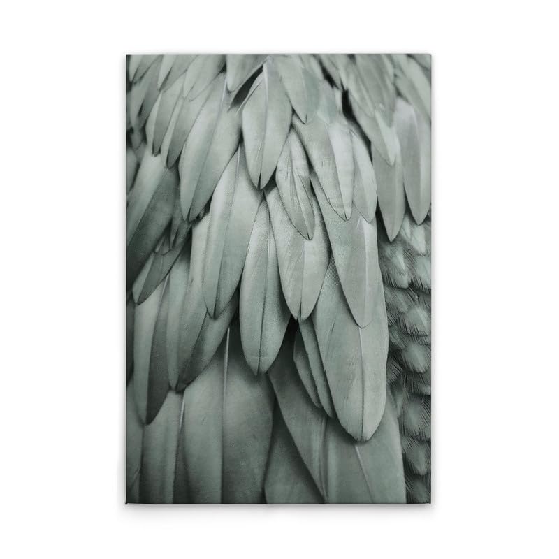 A.S. Création WTD DD131755 - Lienzo decorativo (80 x 120 cm), diseño de plumas, color azul y gris