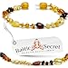 Amber Teething Bracelet or Anklet 13.5/5.3-MLT.P.MX