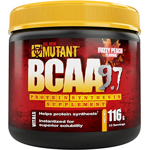 Bcaa Powder