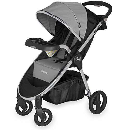 RECARO Performance Denali Luxury Stroller, Granite by Recaro