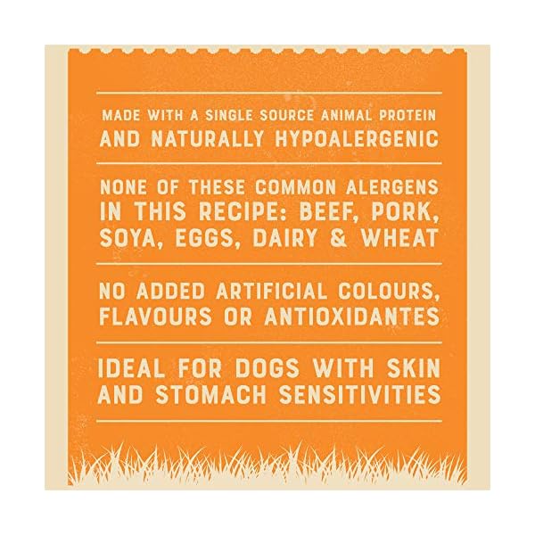 James Wellbeloved Complete Dry Kitten Cat Food Turkey and Rice, 4 kg