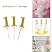 WILD ONE BIRTHDAY DECORATION KIT, Pink and White Balloons Set Perfect for 1st Bday Party Supplies Girl with One FREE Number 1 Cake Topper