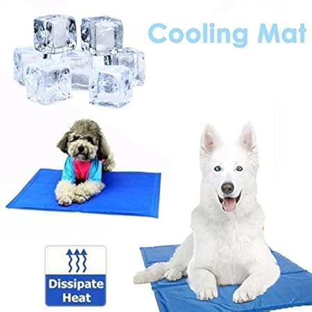 Wss Tappetino Rinfrescante Per Cane Medio 50x40cm Tappeto Gel Autorefrigerante Non Tossico Per Animali Domestici Caldo Estivo