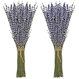 Timoo Dried Lavender Bundles 100% Natural Dried Lavender Flowers for Home Decoration, Photo Props, Home Fragrance, 2 Bundles