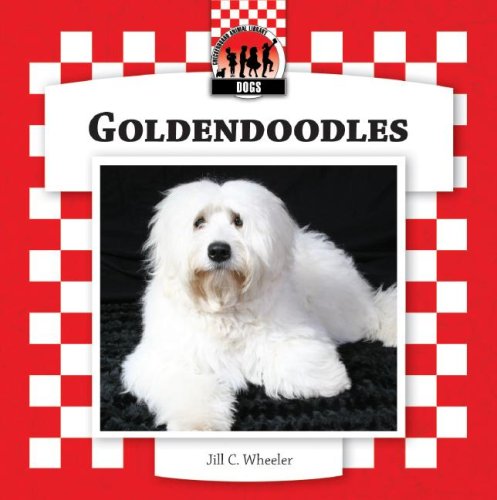 Goldendoodles (Checkerboard Animal Library: Dogs)