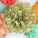 SUNBEAUTY Coral Mint Peach Paper Lanterns Honeycomb Balls Tissue Pom Poms Flower Home Party Backdrop Wedding Baby Shower Event Decoration