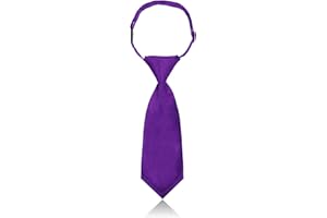Rzmtaol Ties for Women and Girls, Pre-tied Womens Bow Tie Short Ladies Neck Tie for School Uniform Graduation Party Daily