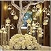 LANLONG 80MM Hanging Tealight Holder Glass Globes Terrarium Wedding Candle Holder Candlestick (18 Pcs/set) (18pcs) primary