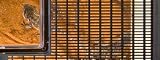 Exo Terra Flat Faunarium Large – 18 x 12 x 6.5 in, Transparent Door view 2