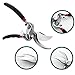 EX ELECTRONIX EXPRESS 78SHEARS 8.5