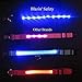 Blazin Light Up Dog Collar - The Original LED Dog Collar - USB Rechargeable - Waterproof - 1,000 Feet of Visibility - Dog Collar Light for Small, Medium, Large Dogs - USA Brand
