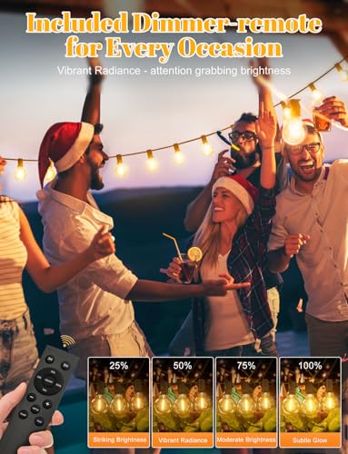 LUCUHM 30M 100FT Festoon Lights Outdoor with Remote – LED Garden String Festoon Lights Mains Powered – Dimmable Garden Light Outdoor Waterproof with Timer for Patio Gazebo Balcony Outside