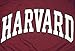 Harvard University T-Shirt - Arched Block - Crimson -L