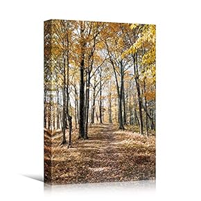signwin Canvas Wall Art Autumn Dramatic Forest Landscape...