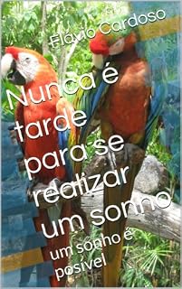 Livro Nunca é tarde para se realizar um sonho