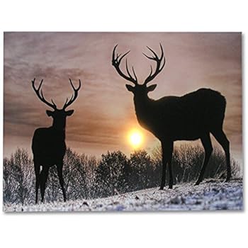 BANBERRY DESIGNS Deer Winter Scene - Light Up Deer Picture - LED Wrapped Canvas Print Shows 2 Deer with Large Antler Racks - Wildlife Wall Decoration - Deer Home Decor - 16x12 Inch